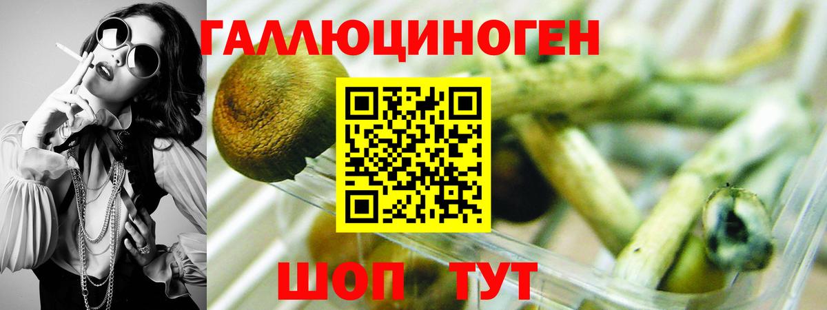 Галлюциногенные грибы ЛСД  Вход с VPN  Чистополь  Псилоцибиновые грибы MAGIC MUSHROOMS 